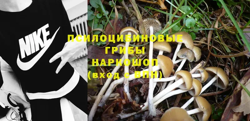 Галлюциногенные грибы Magic Shrooms  darknet Telegram  Искитим 